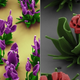 Illustration for article titled These Arent Flowers